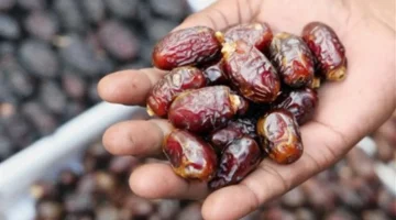 بداية من 16 جنيها.. قائمة أسعار التمور في الأسواق استعدادا لاستقبال شهر رمضان